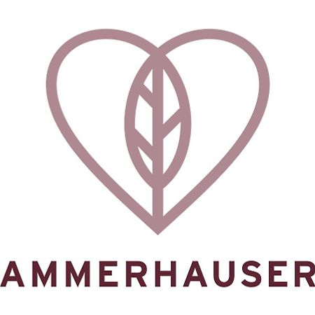 Hotel-Restaurant Ammerhauser Anthering Zewnętrze zdjęcie